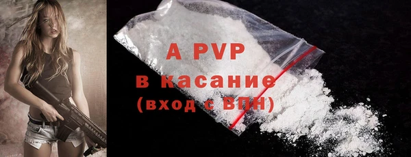 PSILOCYBIN Сосновка