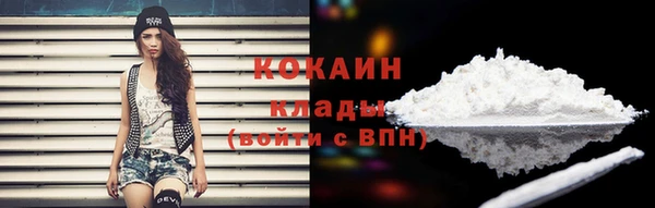 стаф Богородск