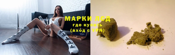 трава Беломорск
