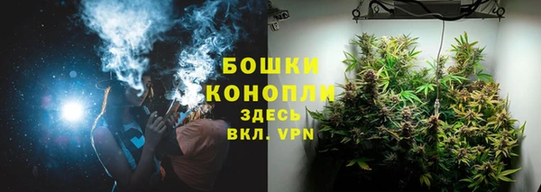 трава Беломорск