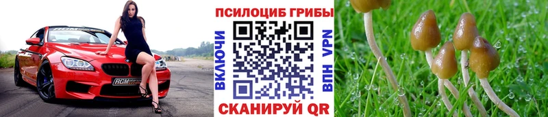 где найти наркотики  blacksprut ONION  Галлюциногенные грибы Psilocybine cubensis  Острогожск 